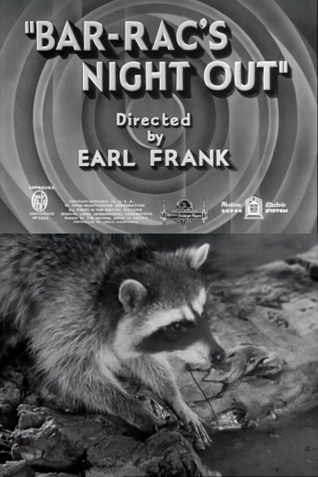 Bar-Rac's Night Out